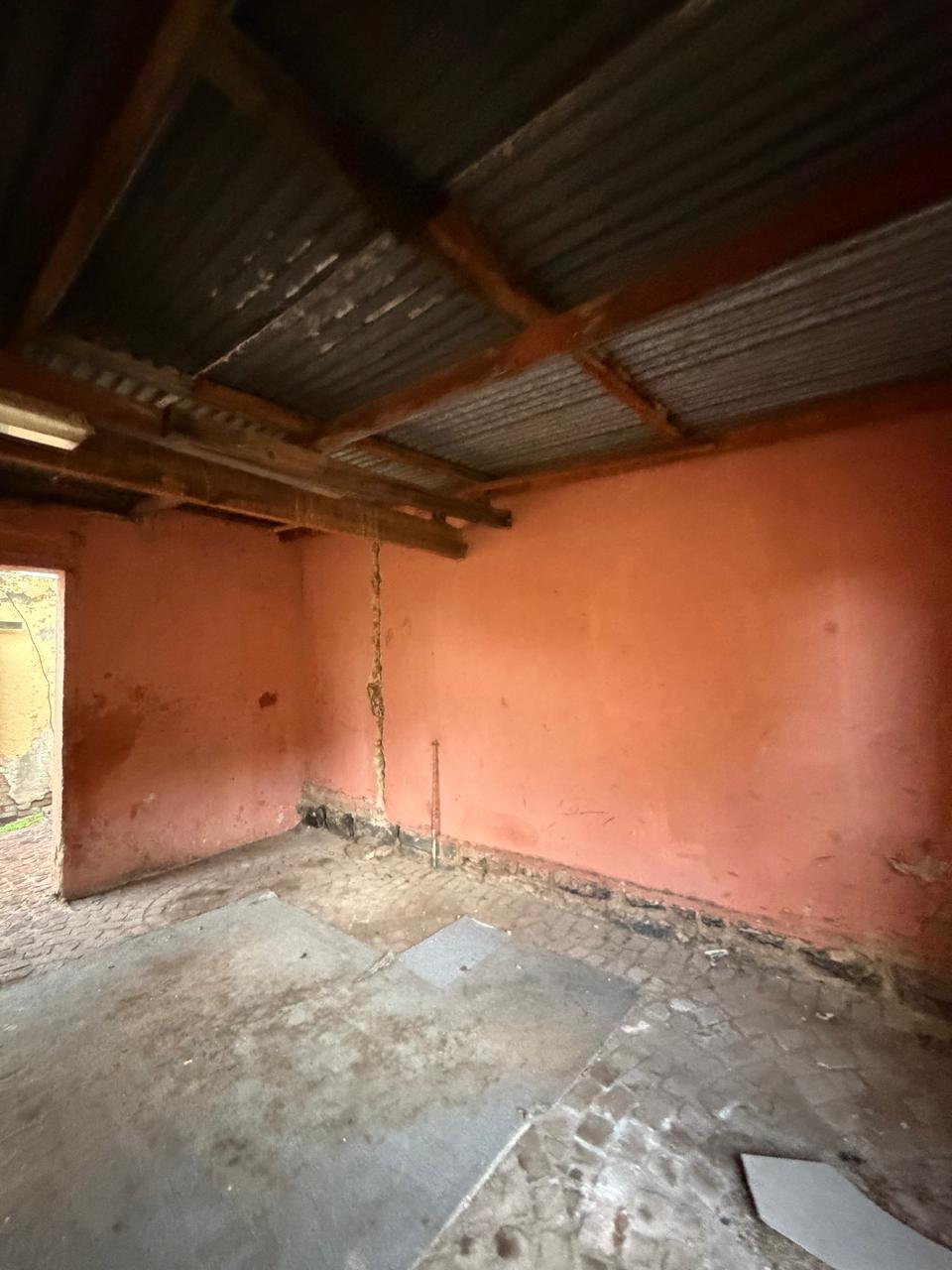 PHOTO-2026-03-25-22-07-24 4